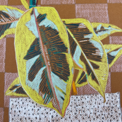 Clare Halifax Print Club London Original