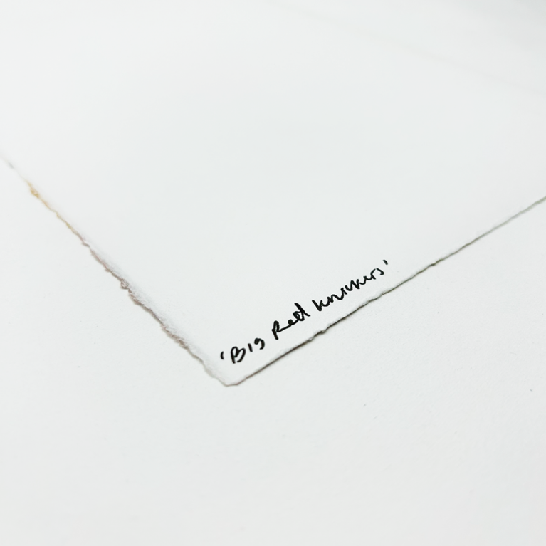 Daisy Jarratt Print Club London Screenprint