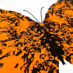 Cassandra Yap Print Club London Screenprint