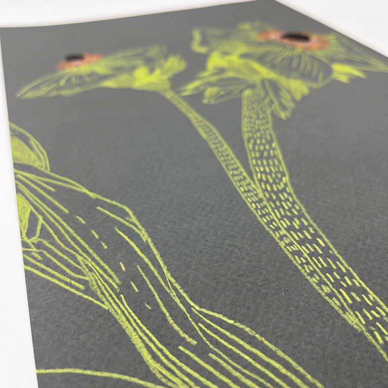 Clare Halifax Print Club London Originals