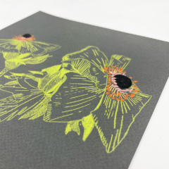 Clare Halifax Print Club London Originals