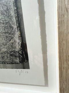 Valeska Hykelflowers original mono print02