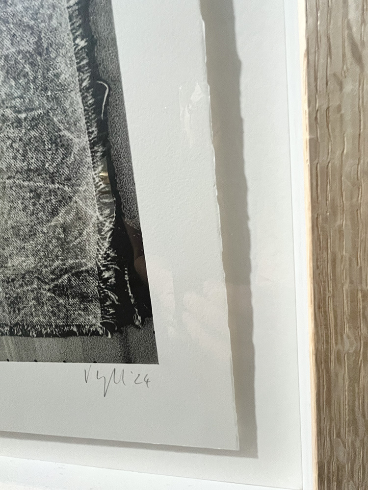 Valeska Hykelflowers original mono print02