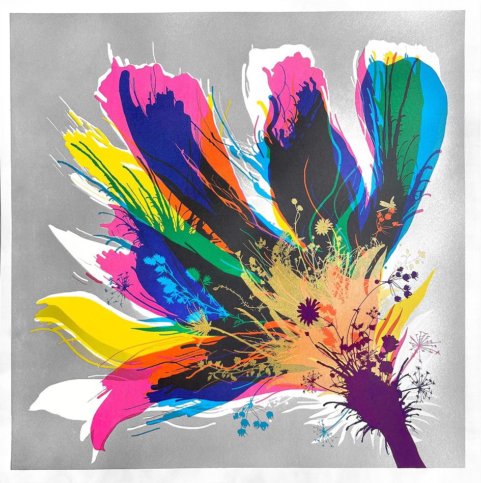 Presenting "Full Bloom," an exquisite abstract limited edition screenprint that captures the eye with its energetic cascade of multicolored petals unfurling from a central stem, reminiscent of a blossoming flower. The artwork's soft gray backdrop accentuates the striking hues, highlighting shades of yellow, pink, blue, green, and black.