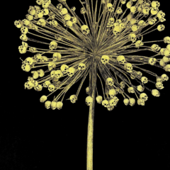 Cassandra Yap Print Club London Screenprint