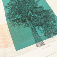 Clare Halifax Print Club London Screenprint