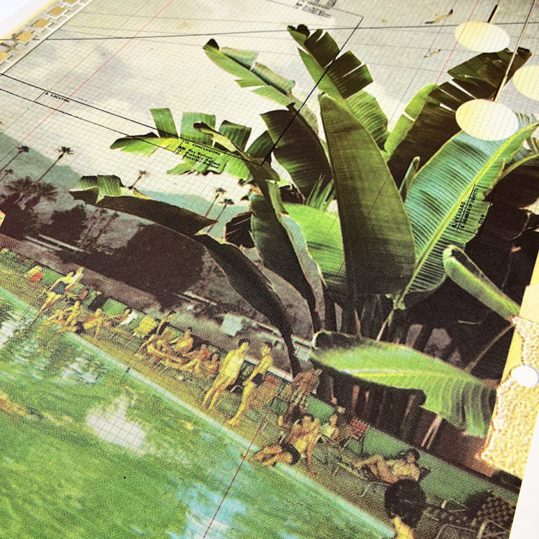 Underneath the palms – close 2