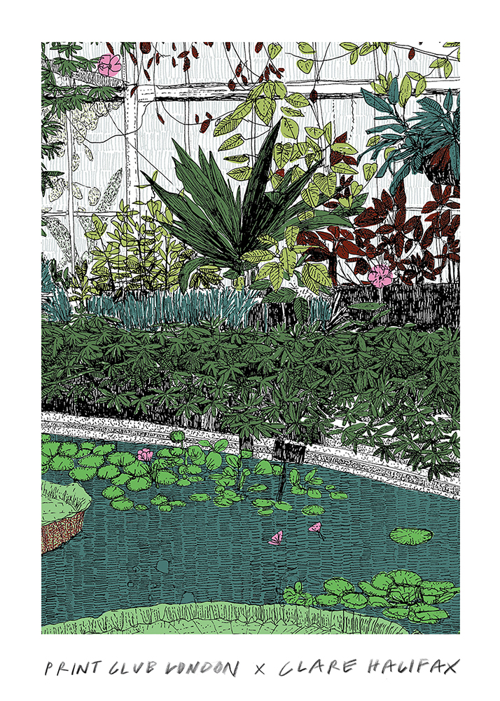 A lush indoor garden thrives around a small pond. Lily pads float gently, adorned with pink flowers. Tall plants rise up, their leaves creating a green backdrop. Leafy foliage stretches beneath the clear glass ceiling.