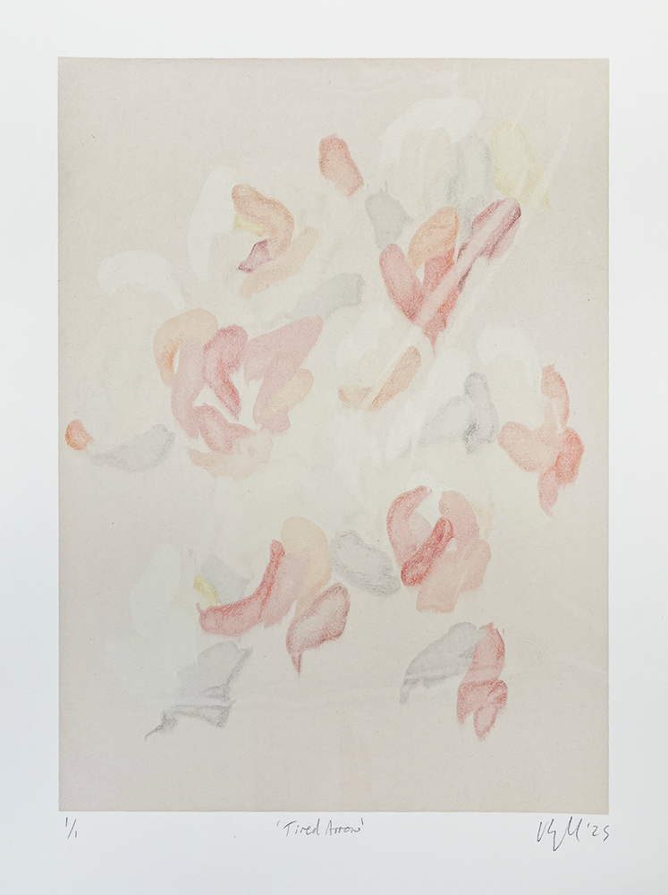 The "Tired Arrow - Ghost 2" is a piece of abstract art. It features pastel floral shapes in pink, orange, and gray. These shapes rest on a light background. They look like gentle petals or blossoms. The artwork captures the fleeting essence of a ghost’s presence.