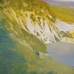 Georgia Green Print Club London