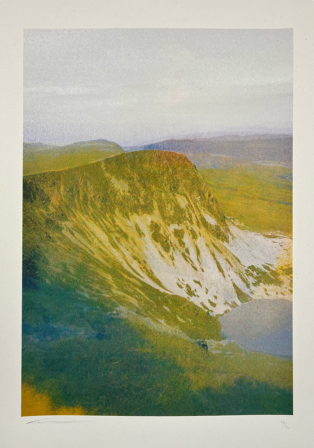 Shrub Salad by Hannah Locker || Print Club London