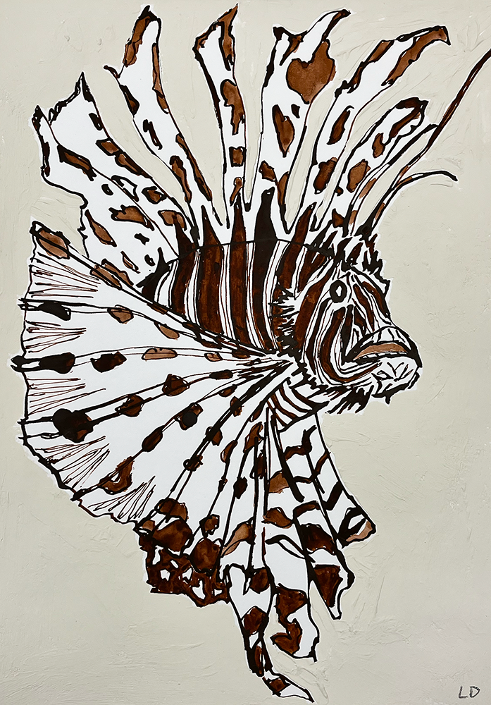 Lion Fish - Original Artwork: Line art illustration featuring brown and black markings on a light background, emphasizing its distinctive fins and bold striped pattern.