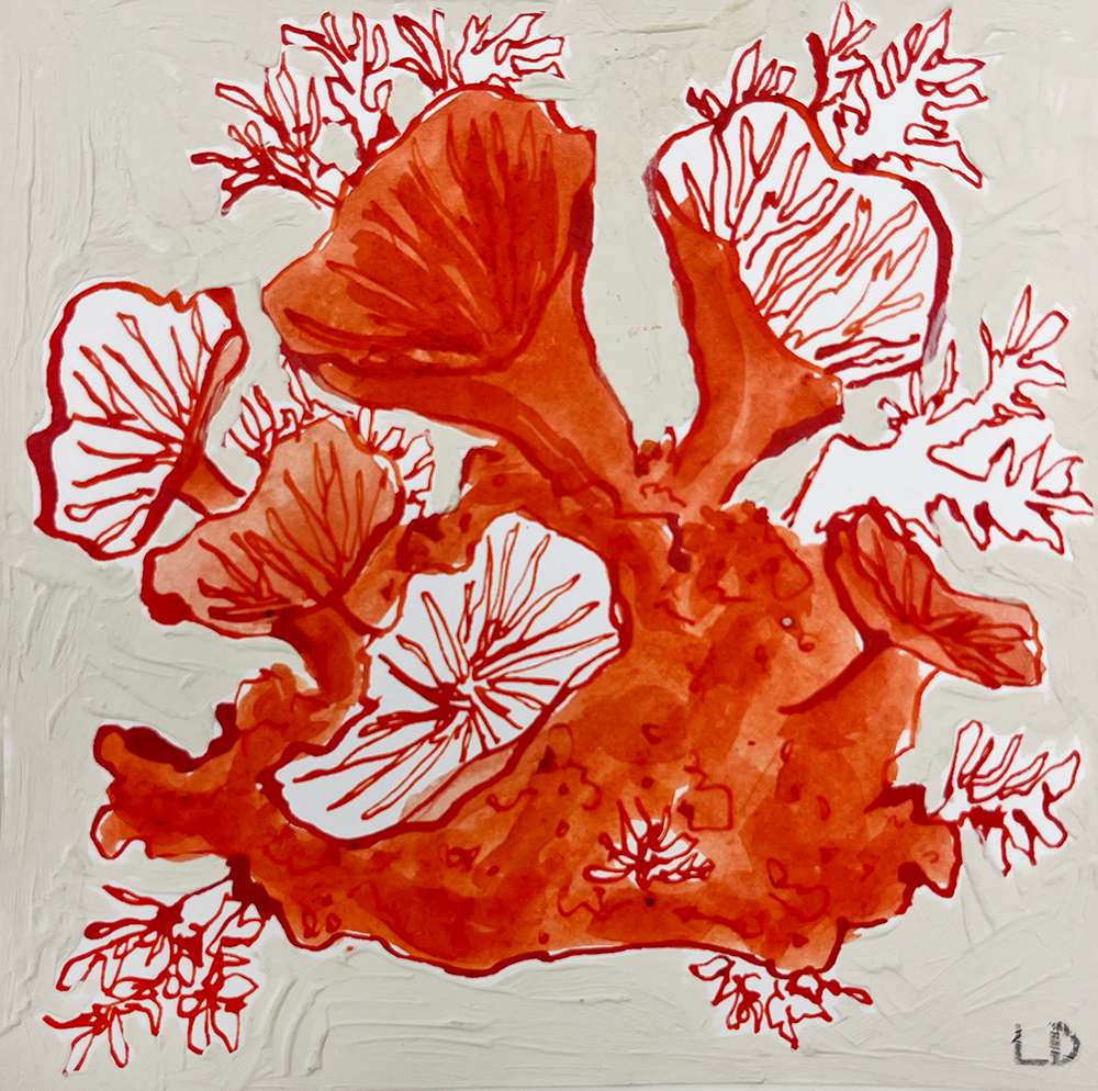 Coral - Original Artwork: A vivid illustration featuring bright red, coral-like lichen with leafy and branching shapes set against a light, textured background.