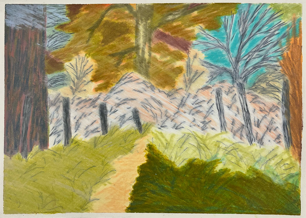A colored drawing of a forest scene with a dirt path, tall trees, bare branches, a fence, and a mix of green and brown foliage.