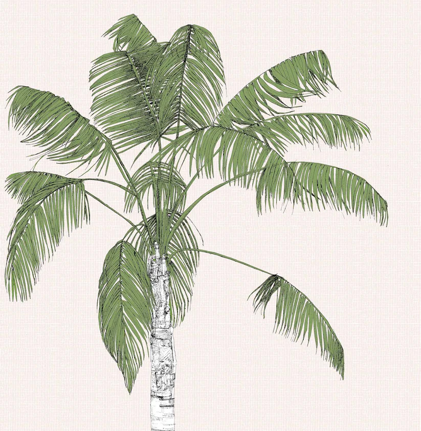 Illustration of a tall palm tree with green fronds and a textured trunk on a pale, textured background.