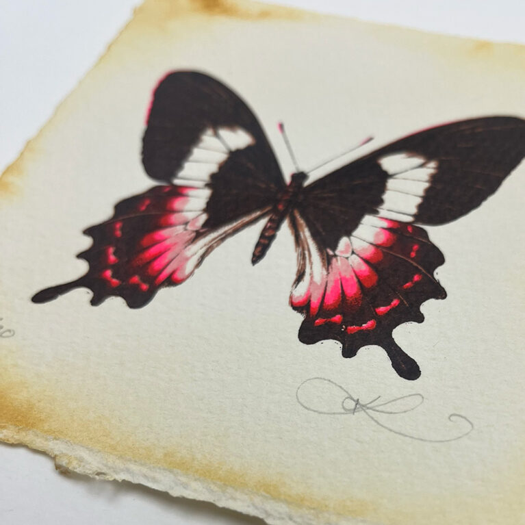 Flue Butterfly 2 – Kath Leone