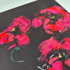 superbloom 79 – poppy 1