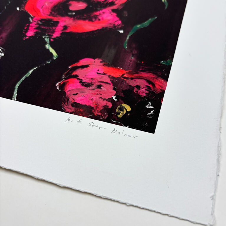 superbloom 79 – poppy 2