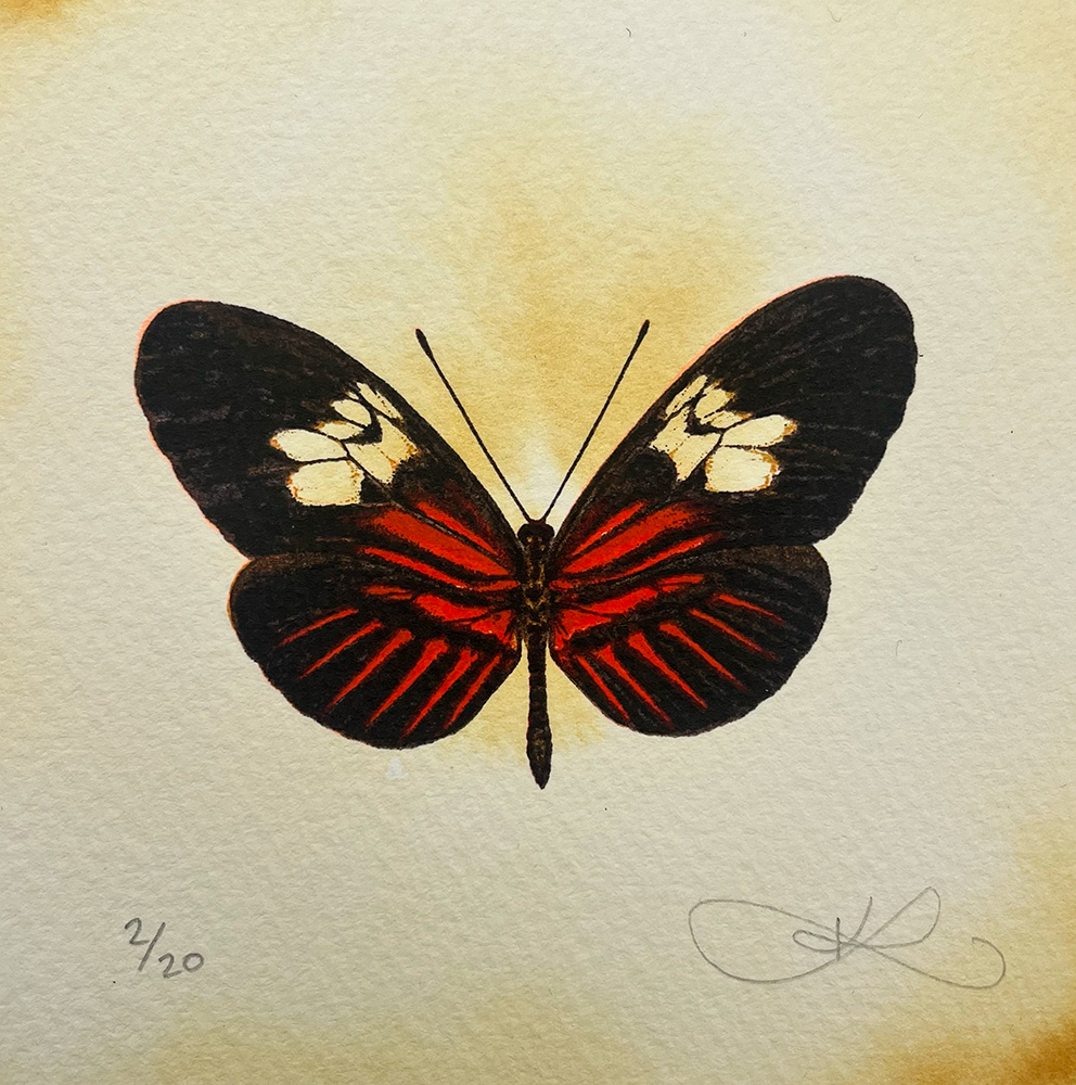 Postman Butterfly - Hand Finished Screen Print: features a black, red, and white winged butterfly on textured paper, each print signed and numbered by the artist.