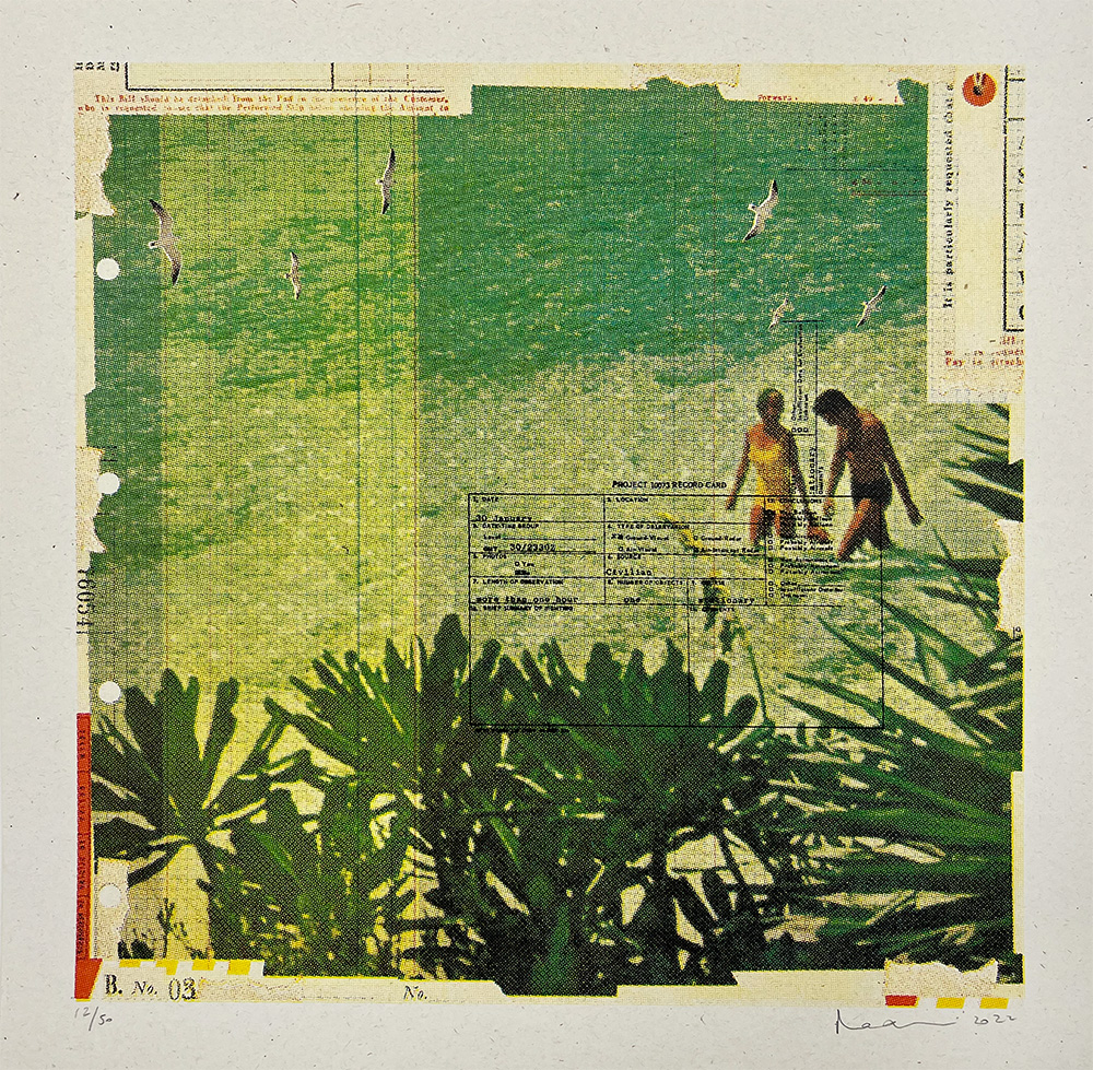 A mixed-media artwork featuring two people walking near water, surrounded by green foliage, with seagulls and collaged text elements visible throughout the composition.