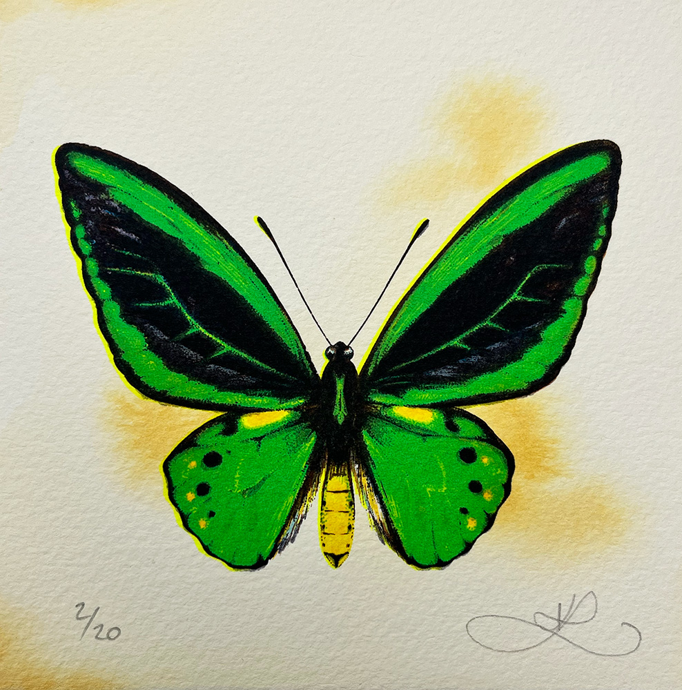 Illustration of a green and black butterfly with yellow accents, centered on a textured off-white background, with handwritten numbers and signature at the bottom.