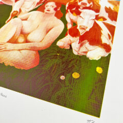 the muse – orange 2