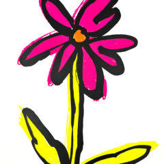 Fluro pink and yellow 3