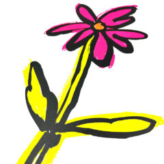 Fluro pink and yellow side