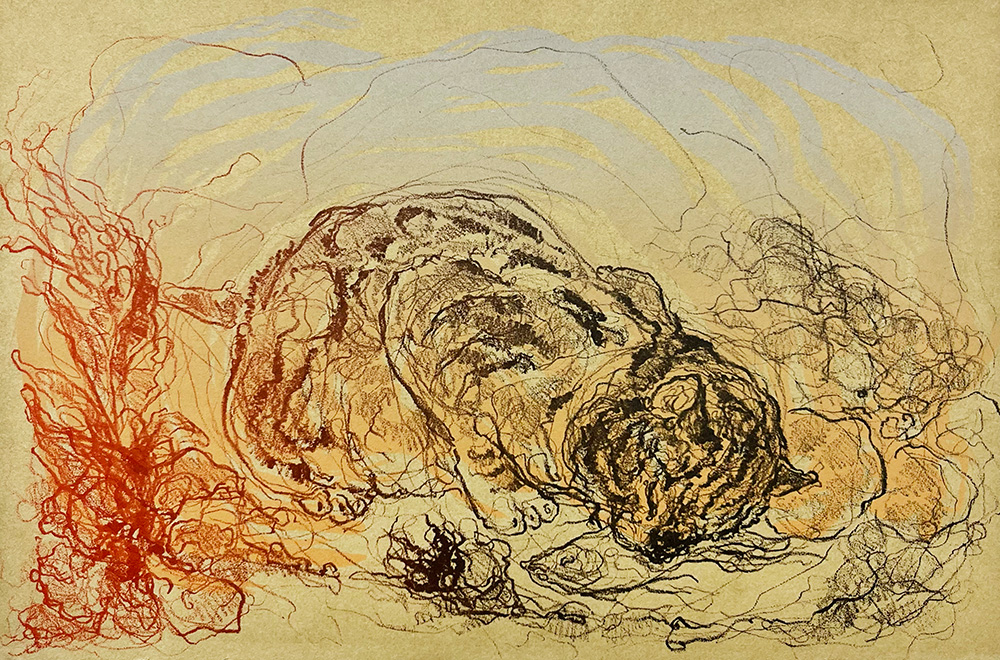 A sketch-style drawing of a tiger lying down with its head resting on the ground, surrounded by abstract lines and shapes in shades of brown, yellow, gray, and red.