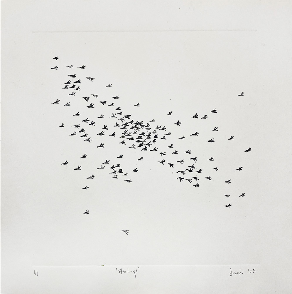A flock of starlings soars in a loose formation against a white background, showcasing nature’s dynamic beauty in the "Starlings - Original Mono Type" artwork.