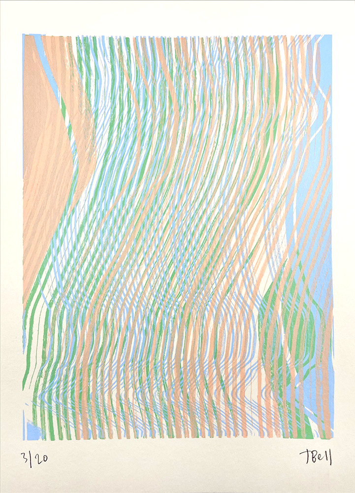 The "Layered Paused Coral - Limited Edition Screen Print FRAMED" displays wavy vertical lines in peach, green, and blue on white, with the edition number and artist’s signature at the bottom.
