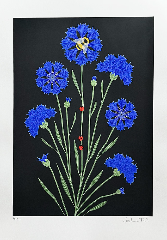 Cornflower - Limited Edition Screen Print features blue cornflowers with green stems, three ladybugs, and a bee on a black background.