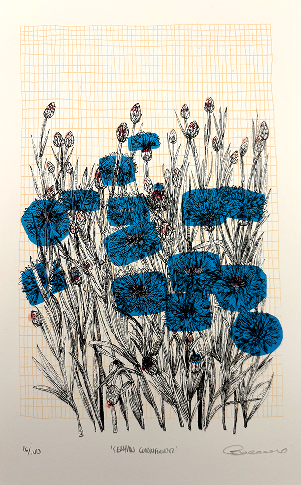 A detailed line drawing of wildflowers with bold blue petals, set against a faded orange grid background. The artwork is titled "Ishfan Cornflower".