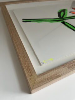 John boothFluro Flower (Orange)framed screen print02