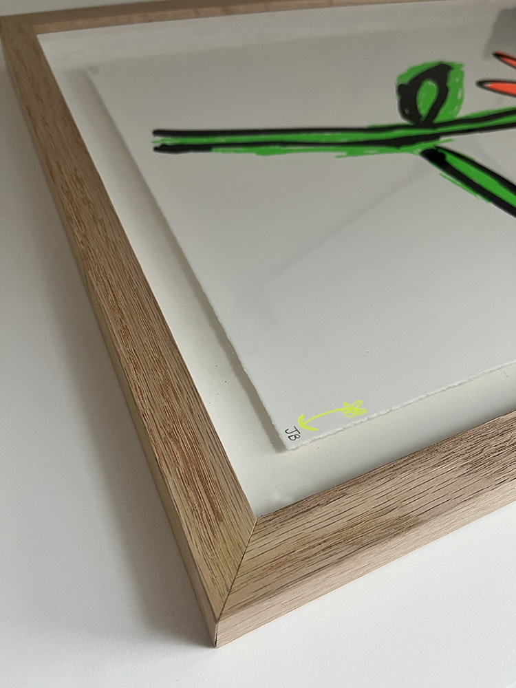 John boothFluro Flower (Orange)framed screen print02