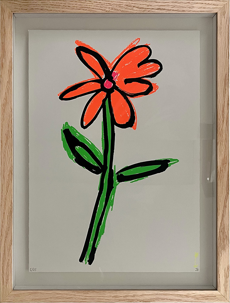 John boothFluro Flower (Orange)framed screen print04