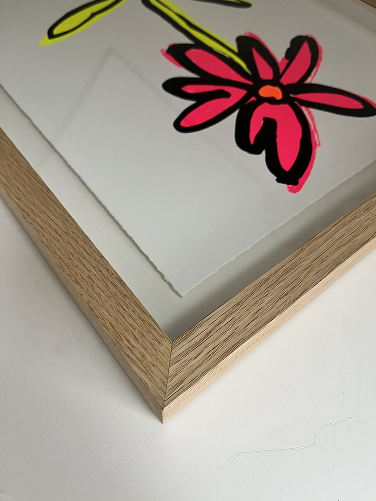 John boothFluro Flower (Pink)framed screen print02