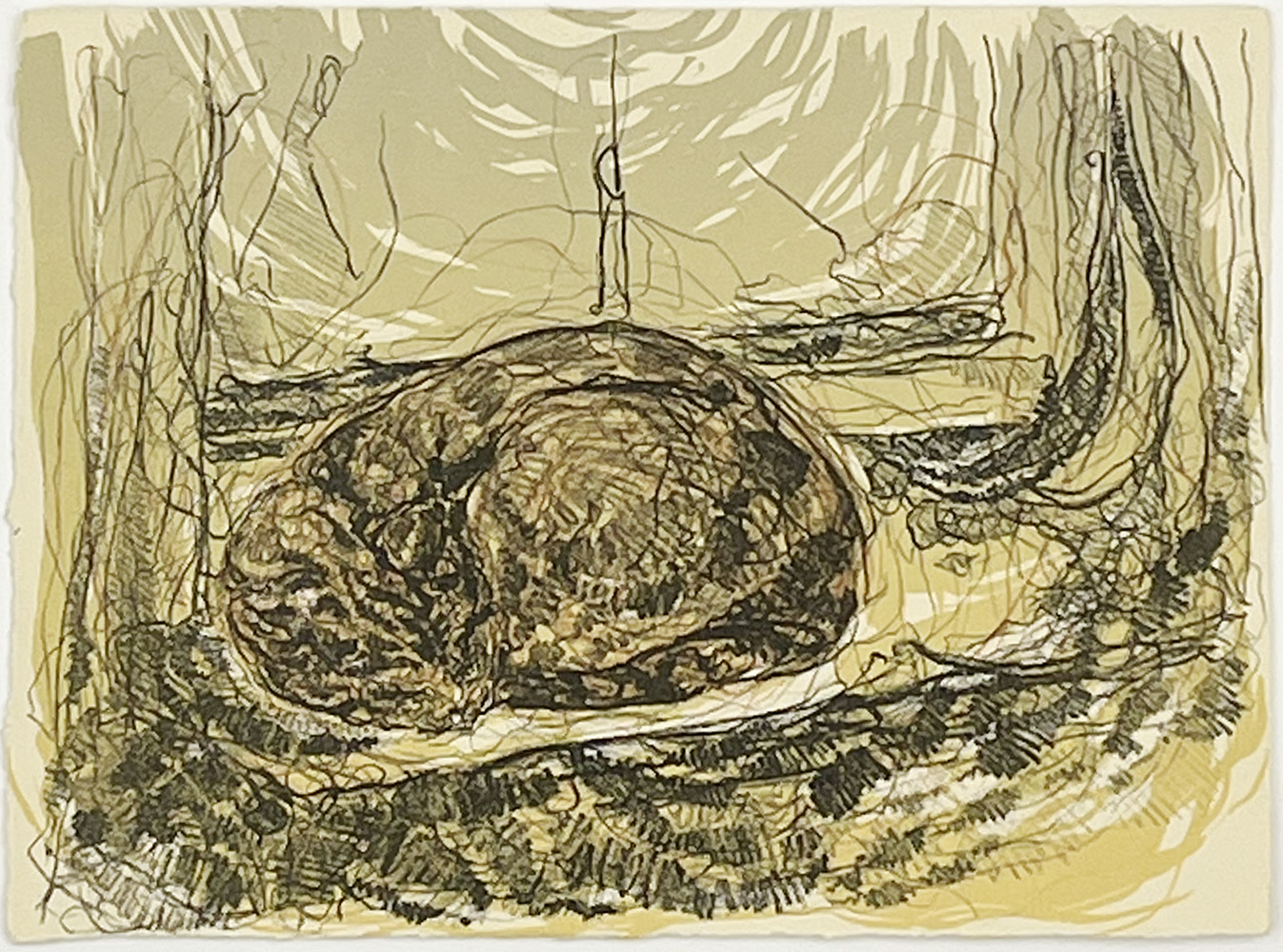 A sketch-style dog, curled up and sleeping amid abstract lines and neutral tones, inspired by Curly Cat - Stone Lithograph - Float Framed in Grey (Copy).