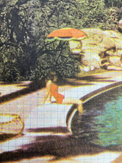 Maixine Gregson At the Foot of the Cacti screen print 02