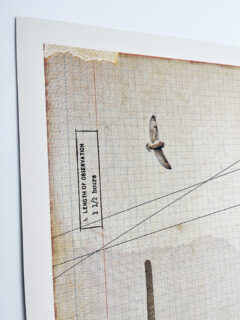 Maixine Gregson At the Foot of the Cacti screen print 03