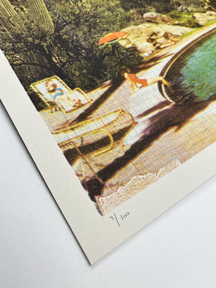 Maixine Gregson At the Foot of the Cacti screen print 05