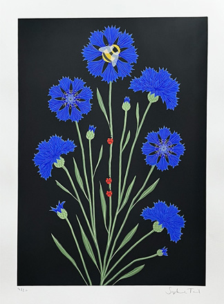 Illustration of blue cornflowers with green stems on a black background, featuring a bee on the top flower and several ladybirds on the stems and leaves.