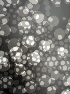 jenni AllenCircular Matter, Extra Large screen print05