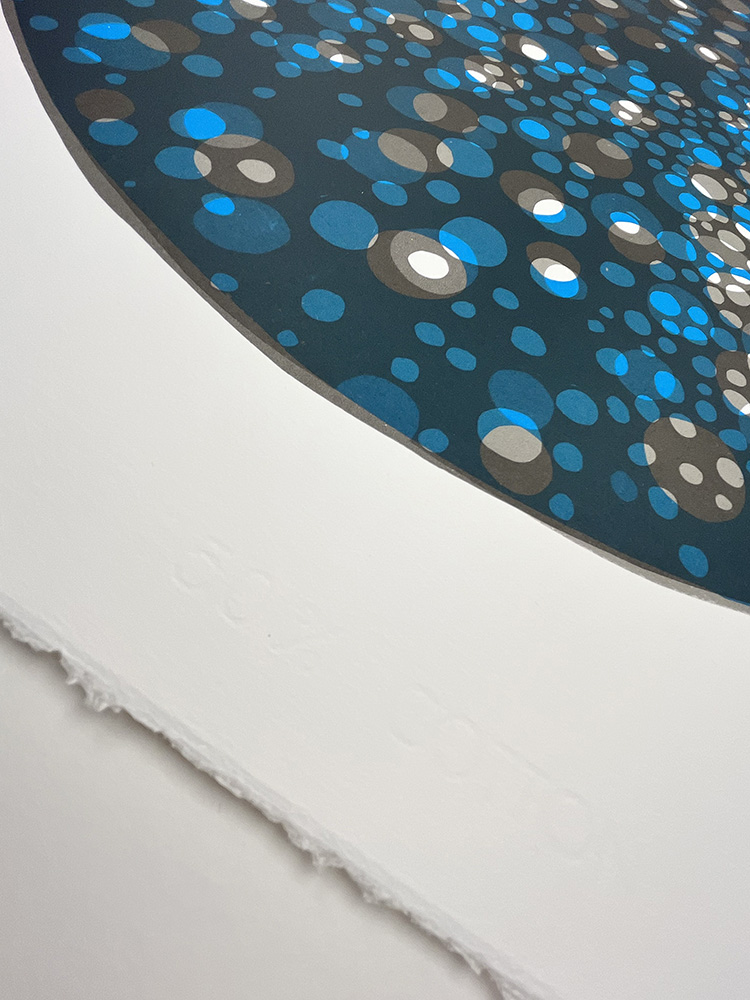 jenni AllenCircular Matter, Extra Large screen print09