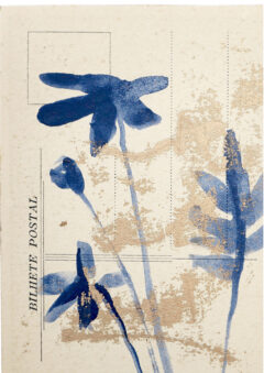 CAROLINE-TOMLINSON-and_she_bloomed_2