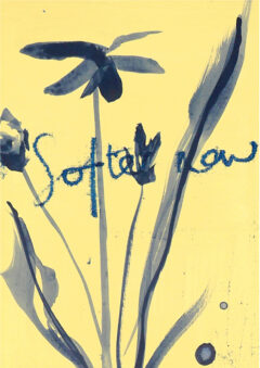 CAROLINE-TOMLINSON_Softer_now_detail1