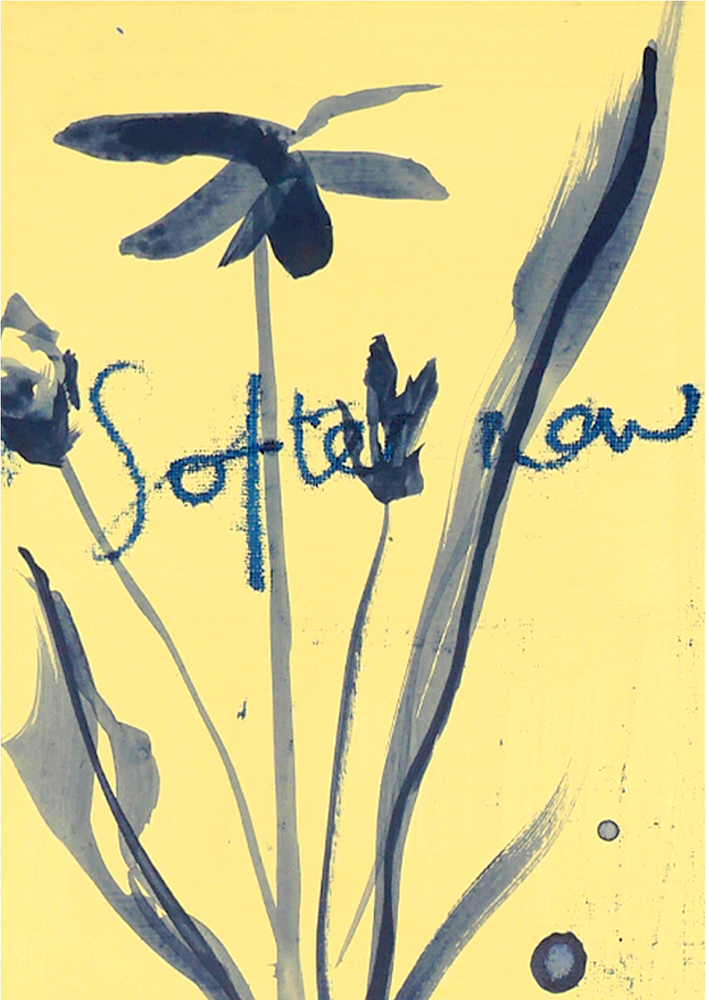 CAROLINE-TOMLINSON_Softer_now_detail1