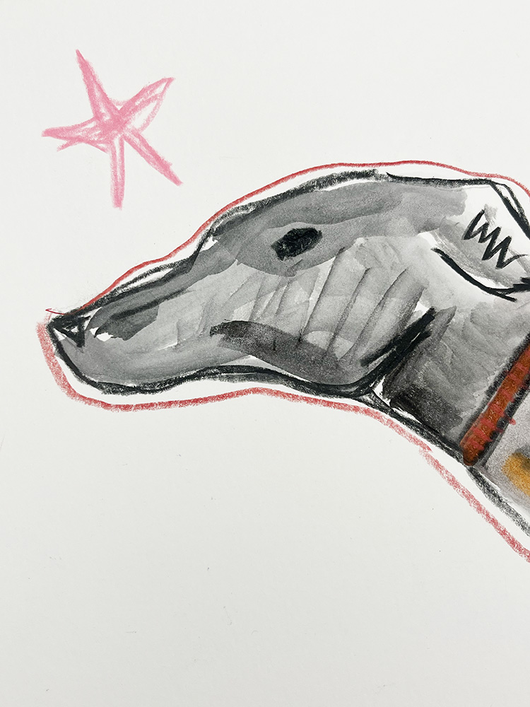 Caitlin Flood-Molyneux Sprint greyhound Original Drawing and Watercolour 02
