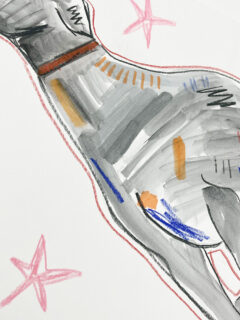 Caitlin Flood-Molyneux Sprint greyhound Original Drawing and Watercolour 03