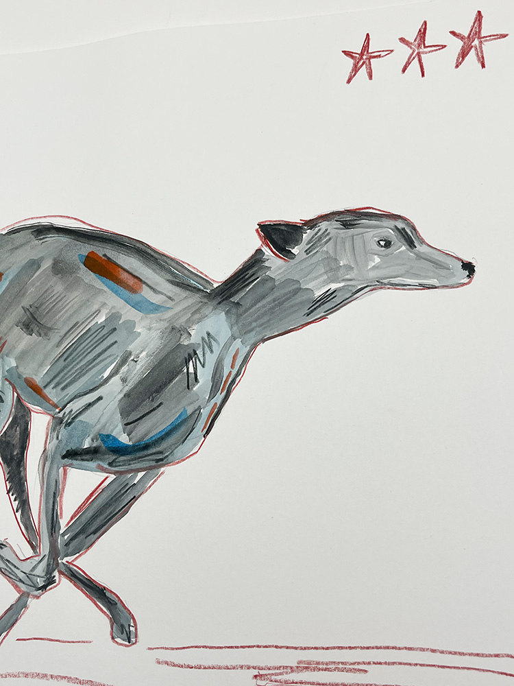 Caitlin Flood-Molyneux dash greyhound Original Drawing and Watercolour 04